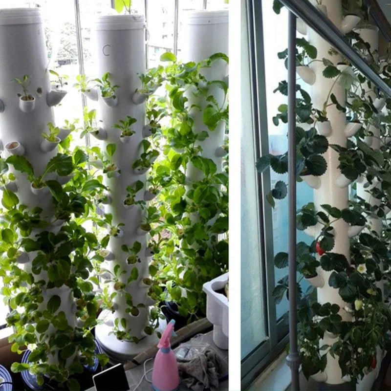 Hydroponic Colonization Cups, 50 pieces