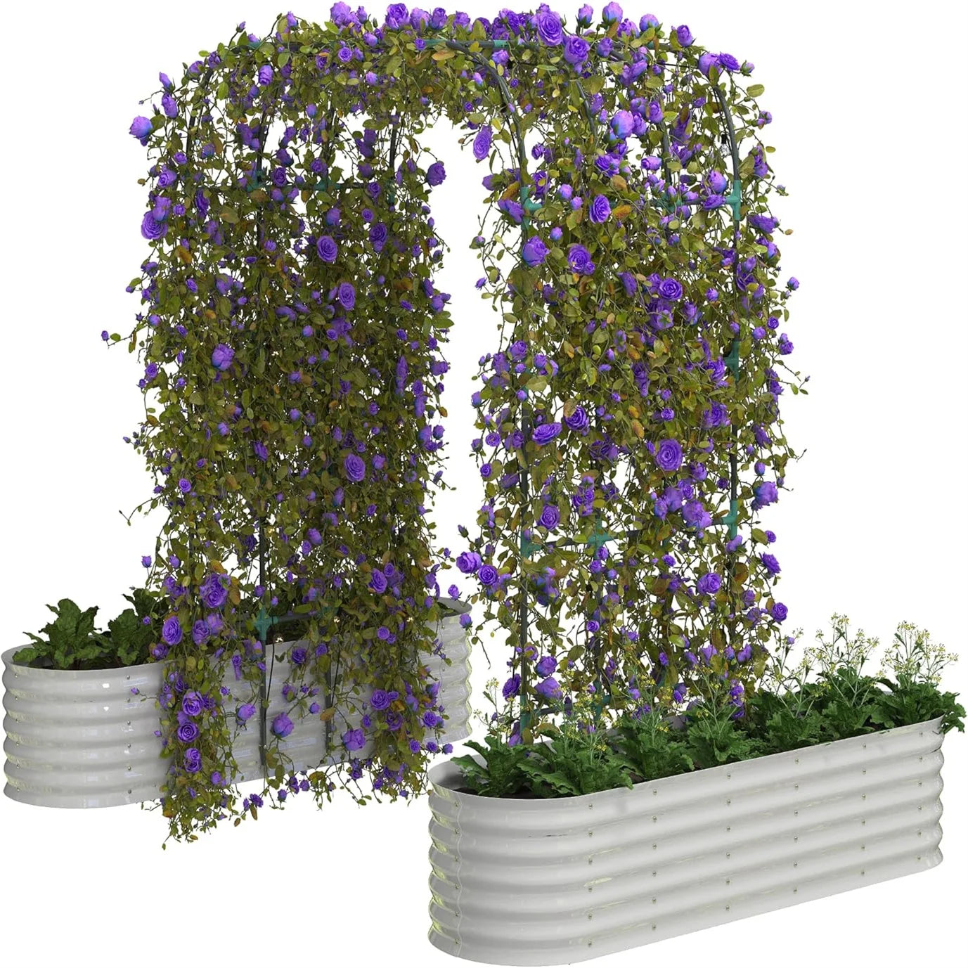 8-Foot Arch Trellis with 2 Raised Garden Beds, for Climbing Vegetables