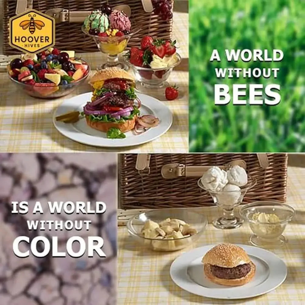 Wooden Beehive Kit, 8 Frames