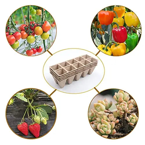 Seed Starter Tray Biodegradable Pots