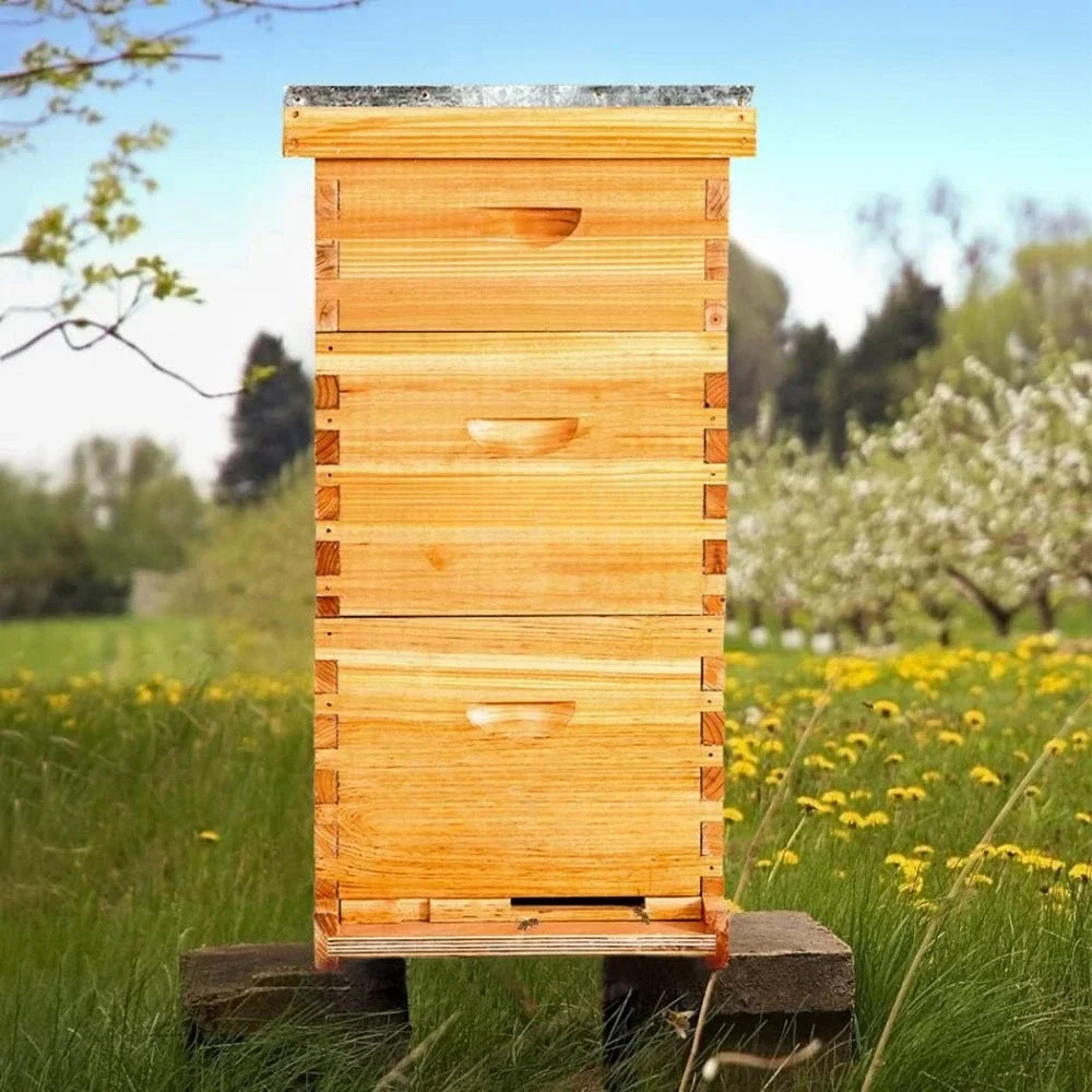 Benefits of Beekeeping as a Hobby