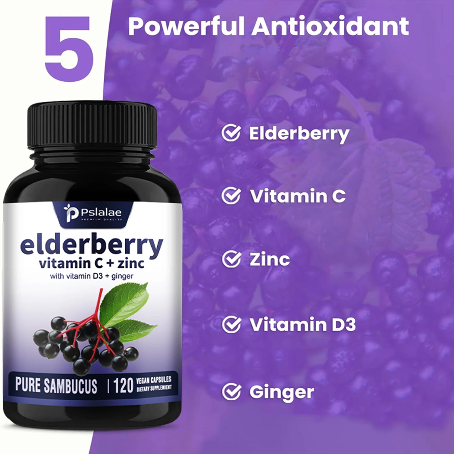 Elderberry, Vitamin C, Zinc, Vitamin D3, Ginger