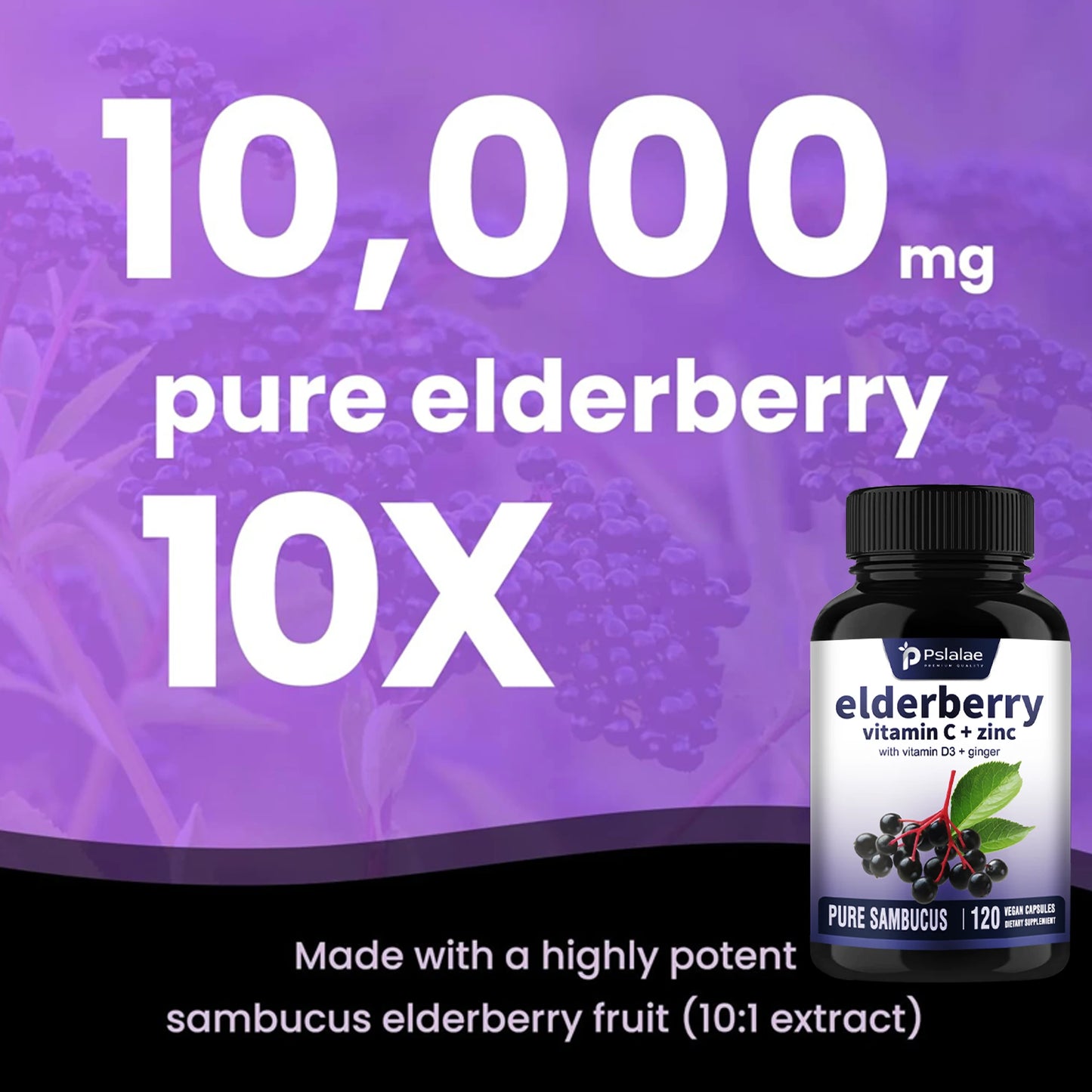 Elderberry, Vitamin C, Zinc, Vitamin D3, Ginger