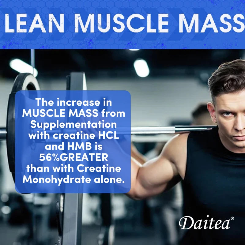 Creatine Monohydrate 3000 Mg, Easy To Absorb, Supports Strength, Muscle, Helps Replenish Muscle &  ATP Levels, 120 Capsules