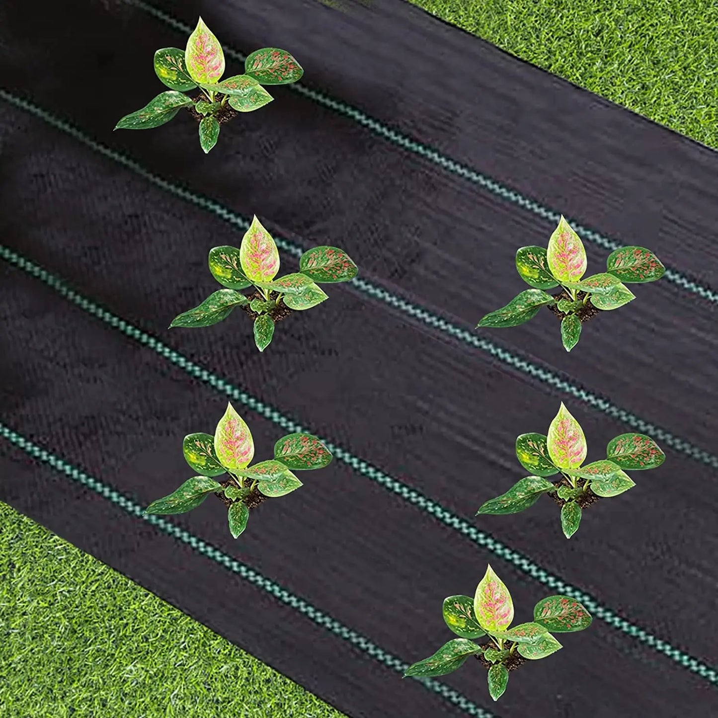 Weed Barrier Fabric, Heavy Duty, Woven Weed Control Fabric, Polyethylene