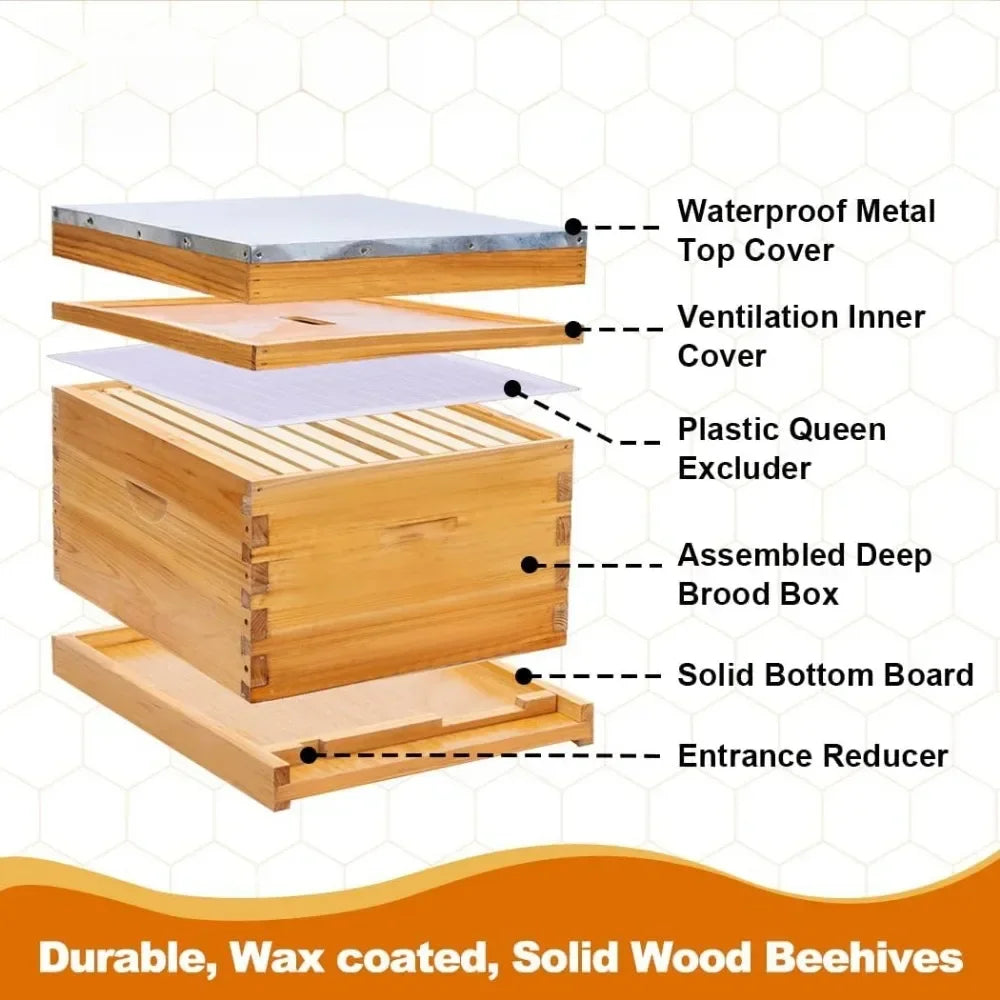 Complete Beehive Starter Kit, 13 Beekeeping Tools