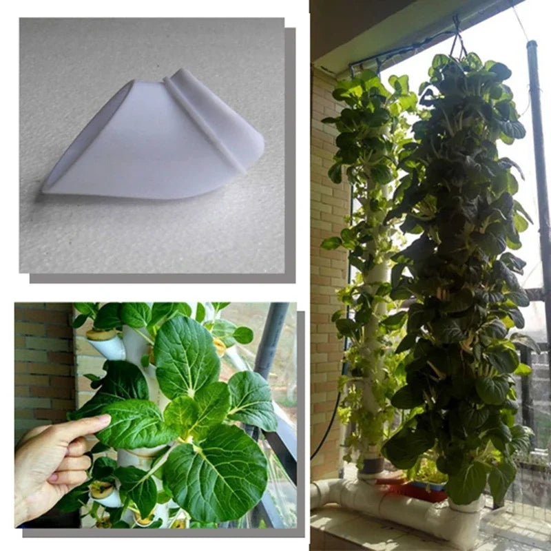 Hydroponic Colonization Cups, 50 pieces
