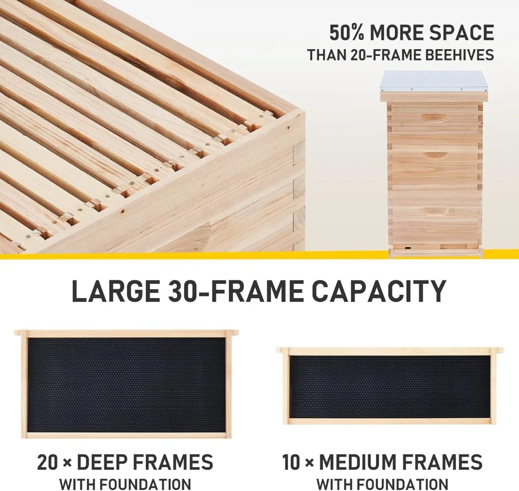 Bee Hive Starter Kit, 10 Medium, 20 Deep Frames