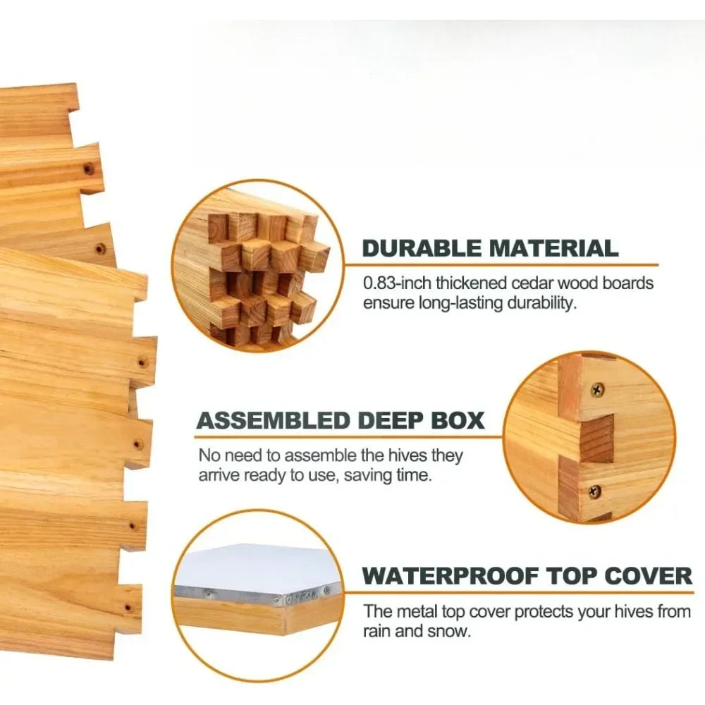 Complete Beehive Starter Kit, 13 Beekeeping Tools