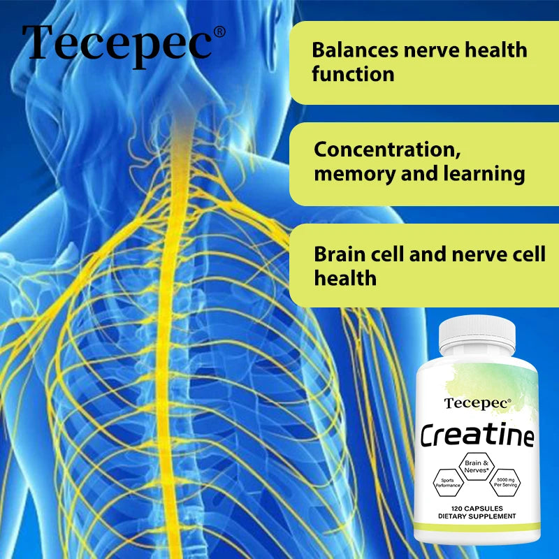 Creatine Monohydrate 5000 mg, Supports Muscle, Performance & Strength, Recovery, Brain Function, 120 Capsules