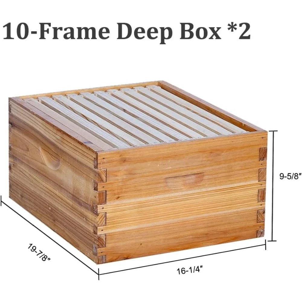 10 Frame Bee Hive, Coated with 100% Beeswax