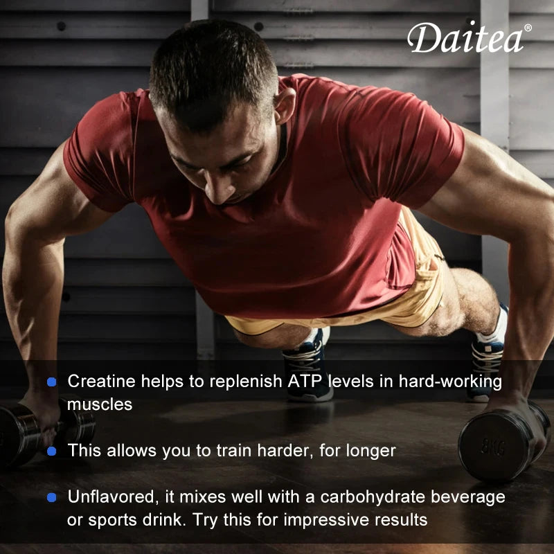 Creatine Monohydrate 3000 Mg, Easy To Absorb, Supports Strength, Muscle, Helps Replenish Muscle &  ATP Levels, 120 Capsules