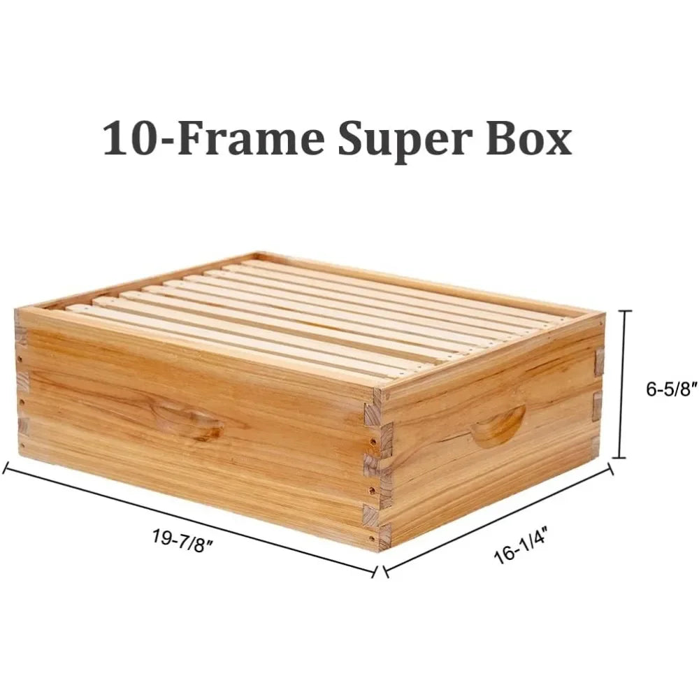 10 Frame Bee Hive, Coated with 100% Beeswax
