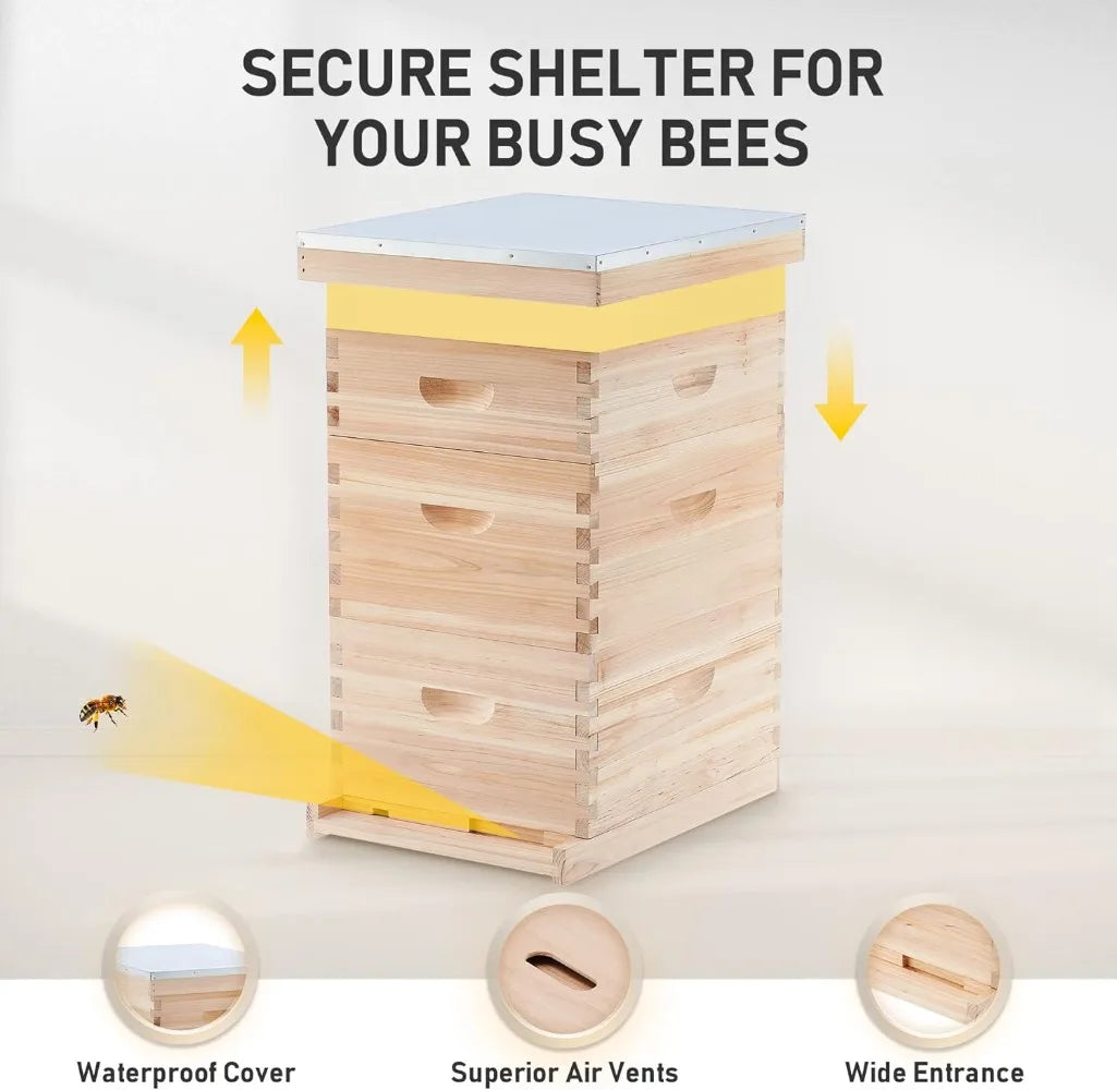 Bee Hive Starter Kit, 10 Medium, 20 Deep Frames