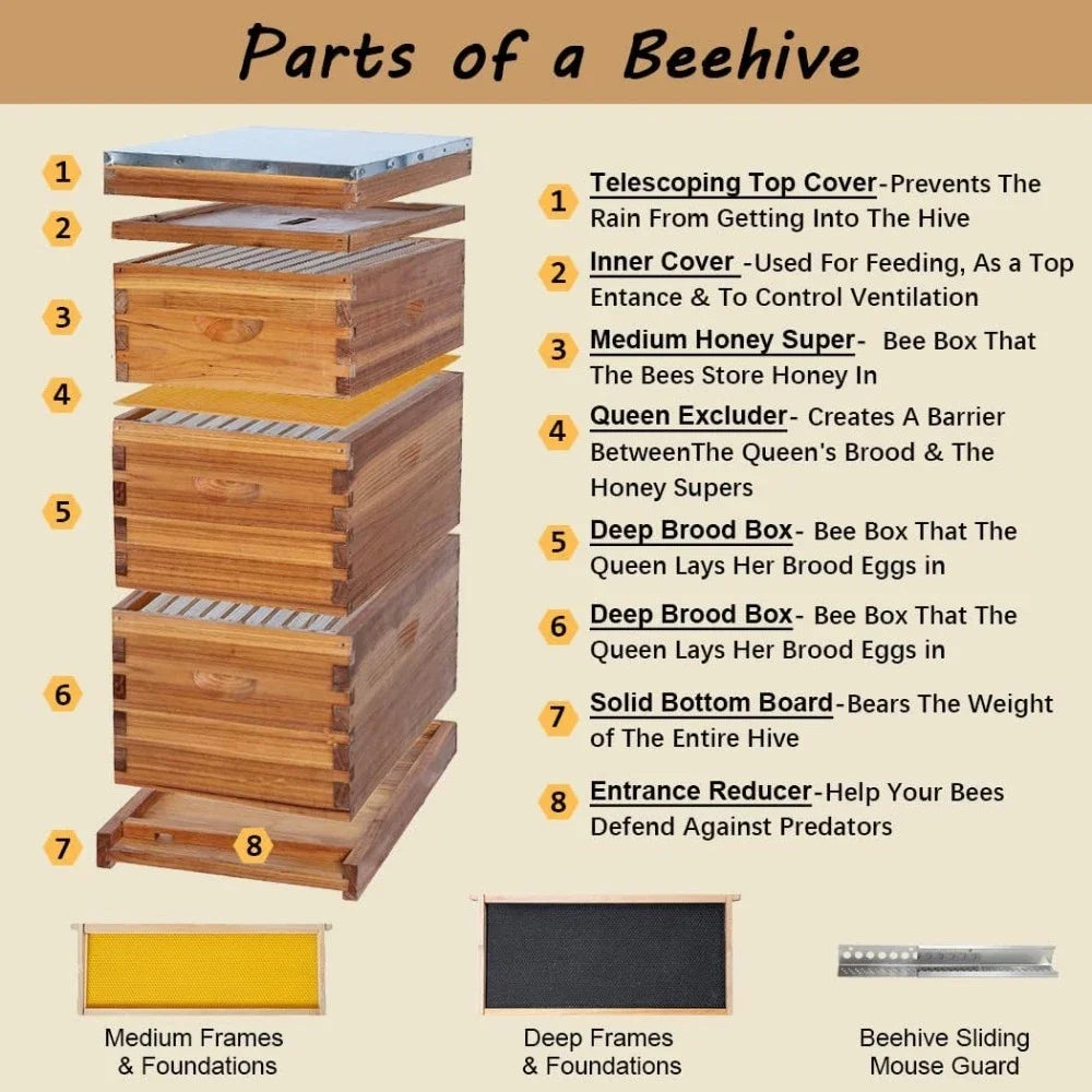 10 Frame Bee Hive, Coated with 100% Beeswax