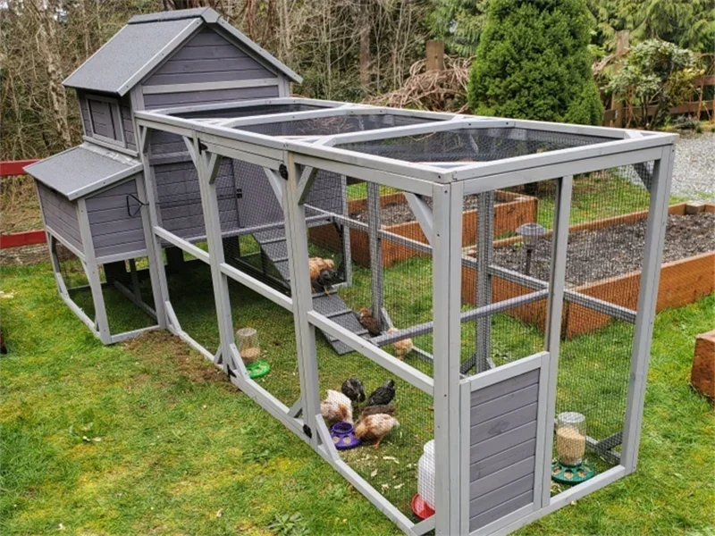 Chicken Coop, Extra Large for 8-10 Chickens, with Large Run