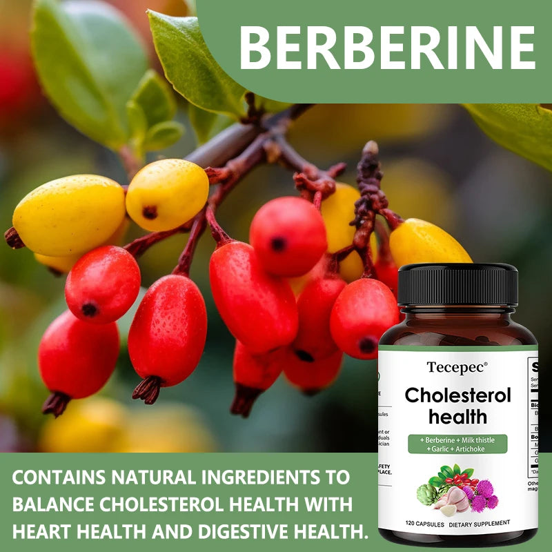 Cholesterol Support Supplement and Heart Health