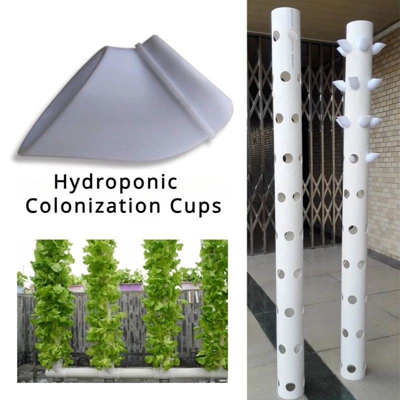 Hydroponic Colonization Cups, 50 pieces